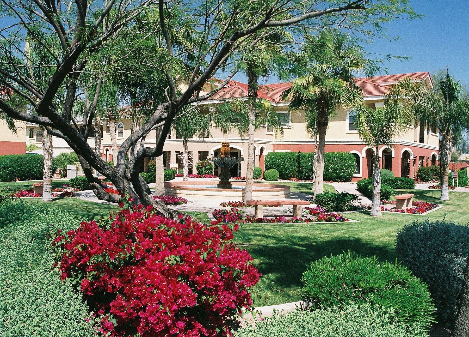 Westgate Painted Mountain Golf Resort Mesa Exterior foto
